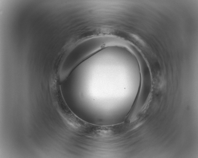 X0000070240552200606161848