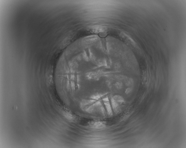 X0000070240553200606161849