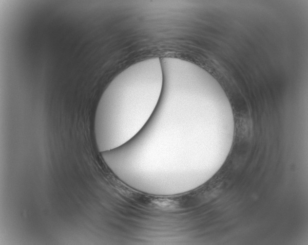 X0000070240557200606161849