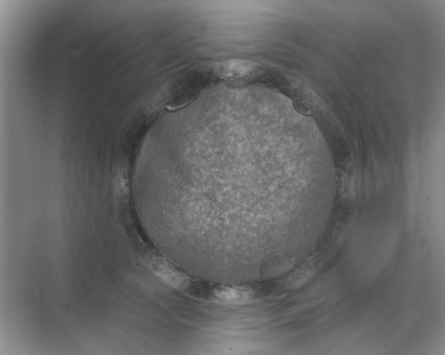 X0000070240561200606161849