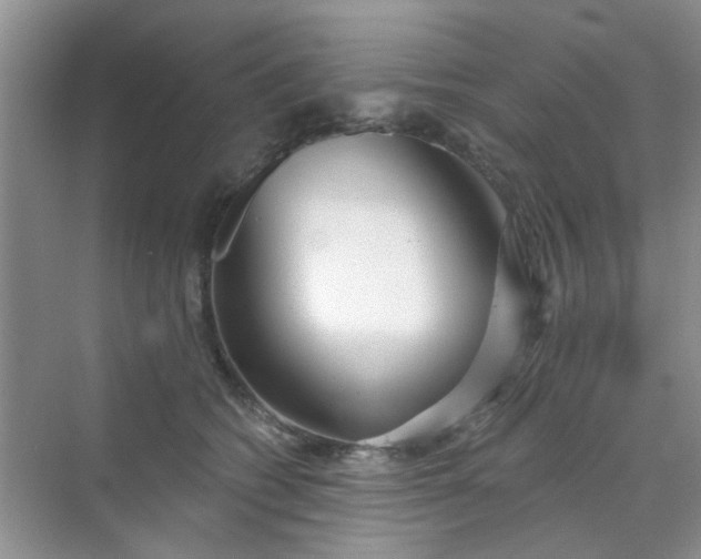 X0000070240562200606161849