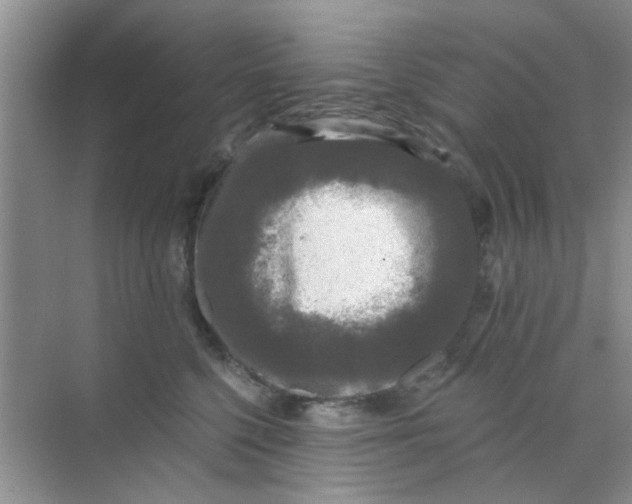 X0000070240568200606161849