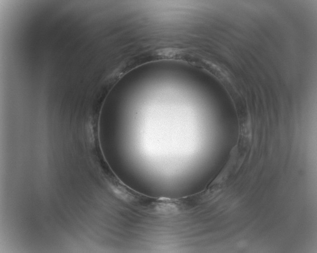 X0000070240572200606161849