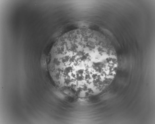 X0000070240573200606161849