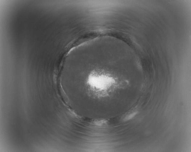 X0000070240576200606161849