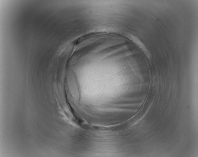 X0000070240577200606161848