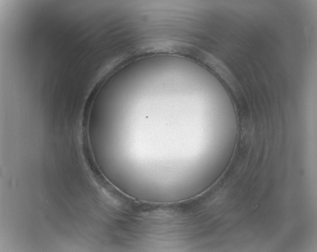 X0000070240578200606161848