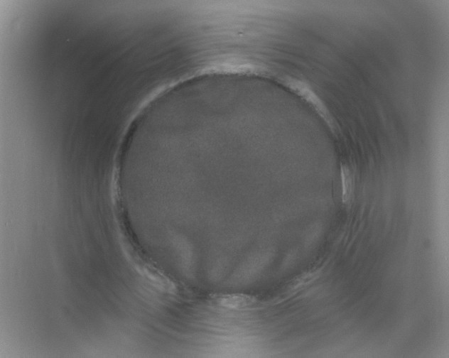 X0000070240579200606161848