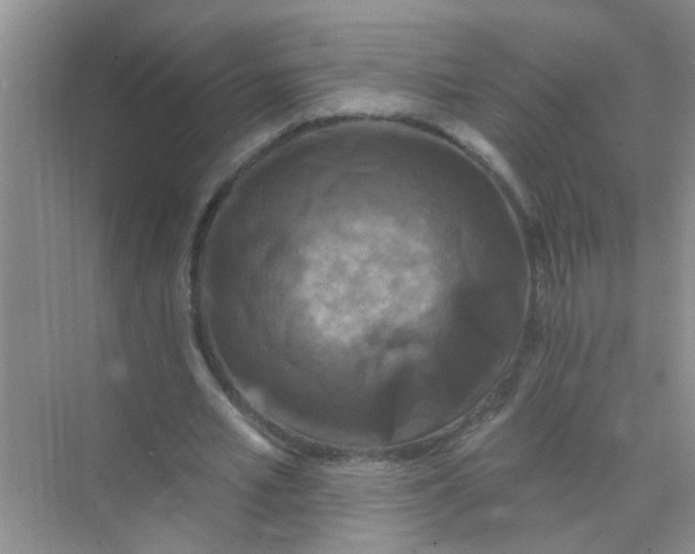 X0000070240581200606161848