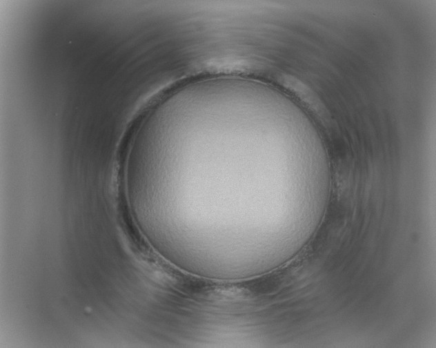 X0000070240583200606161848