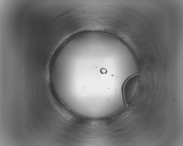 X0000070240584200606161848