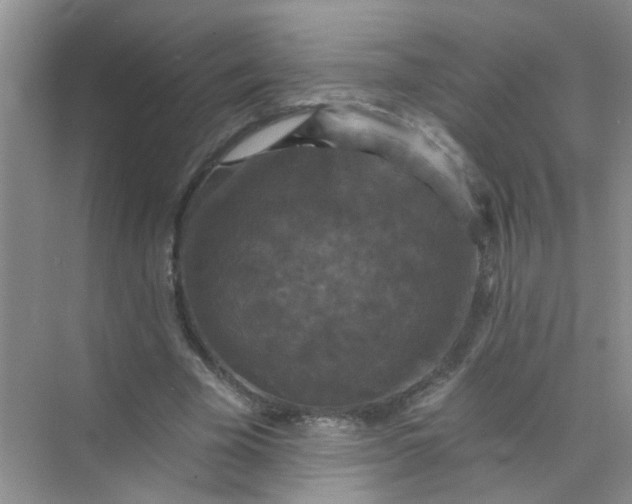 X0000070240585200606161848