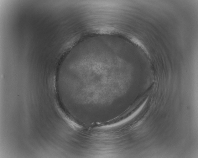 X0000070240589200606161848