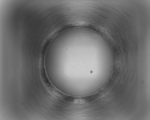 X0000070240591200606161848