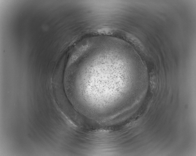 X0000070240593200606161848