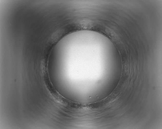 X0000070240594200606161848