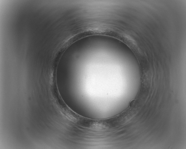 X0000070240596200606161848