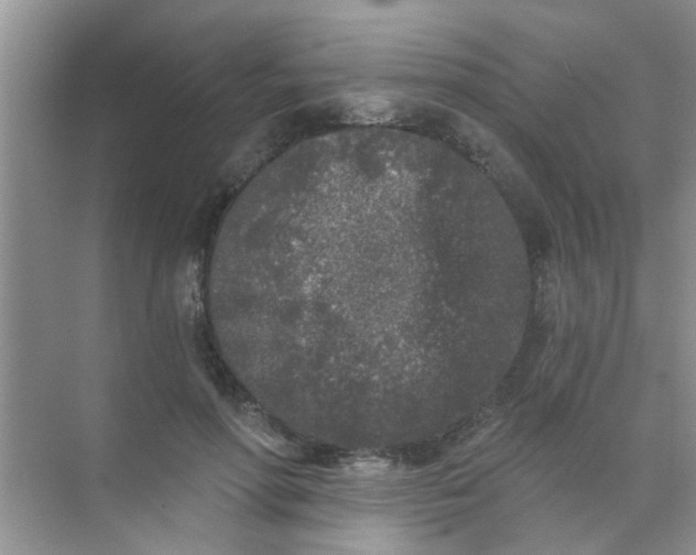 X0000070240598200606161848