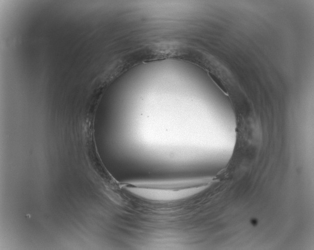 X0000070240601200606161848