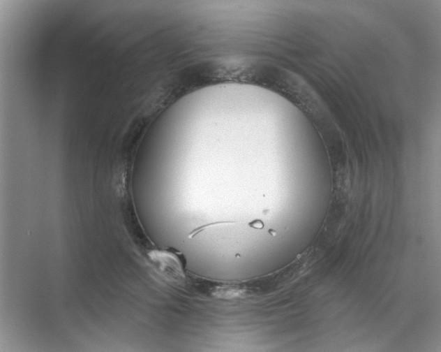 X0000070240602200606161848