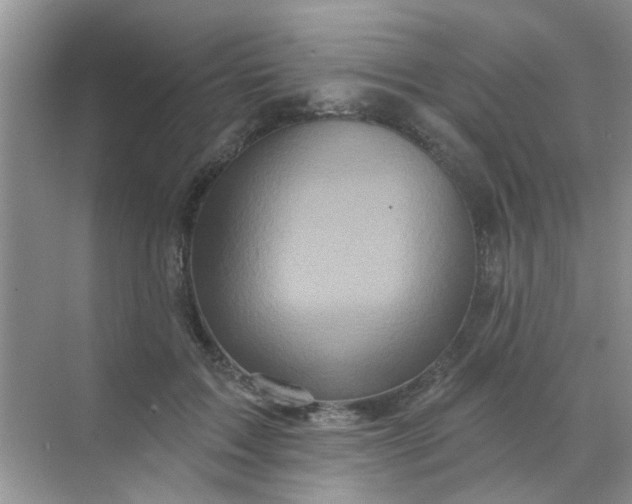 X0000070240603200606161848