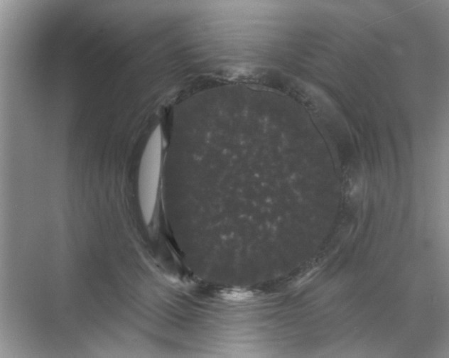 X0000070240607200606161848