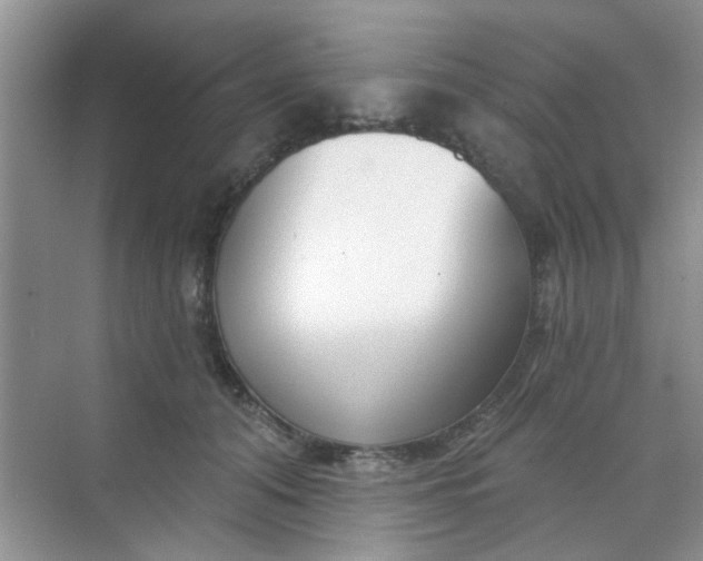 X0000070240608200606161848