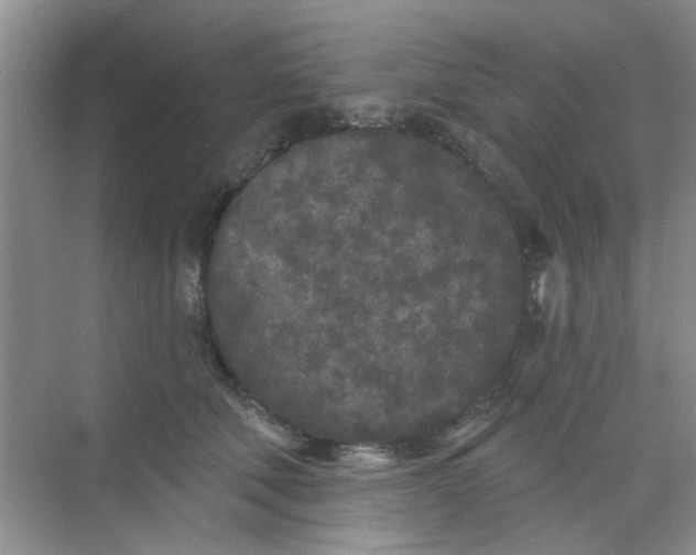 X0000070240610200606161848