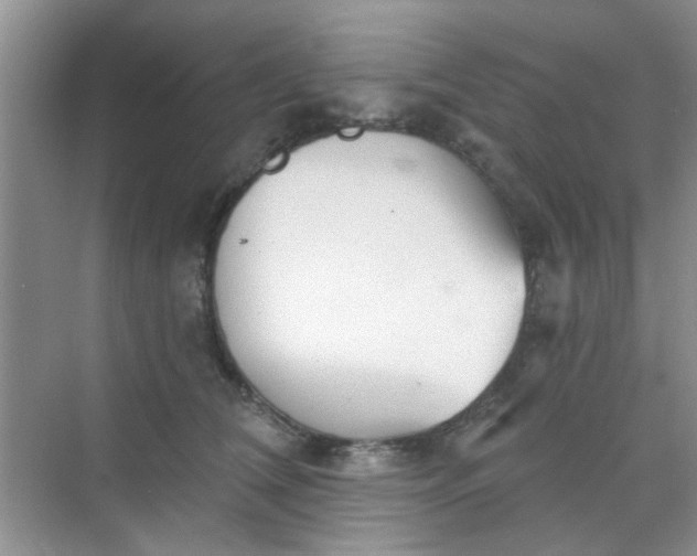 X0000070240612200606161848