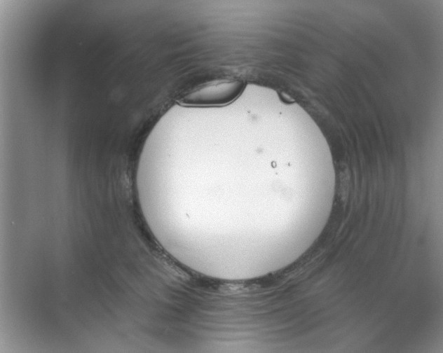 X0000070240613200606161847