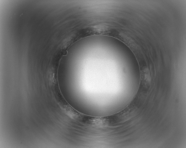 X0000070240615200606161847