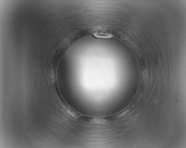 X0000070240617200606161847