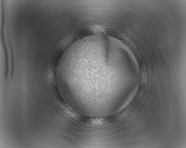 X0000070240618200606161847