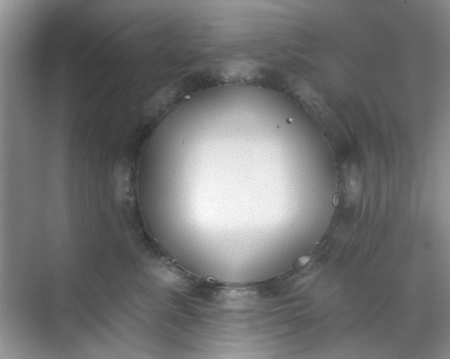 X0000070240619200606161847