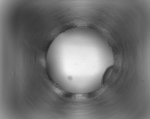 X0000070240622200606161847