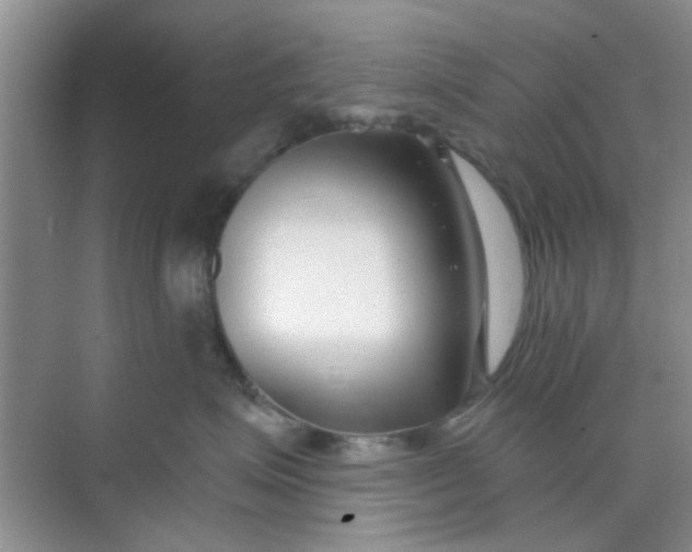 X0000070240623200606161847