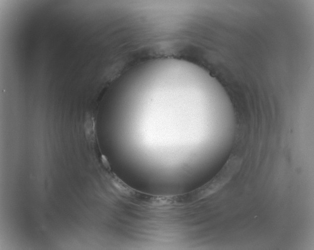 X0000070240624200606161847