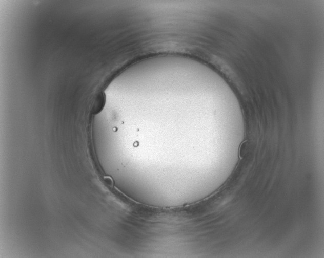 X0000070240625200606161846