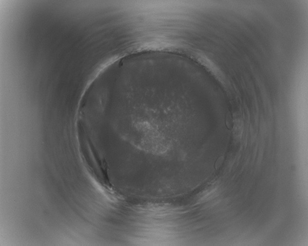 X0000070240626200606161847