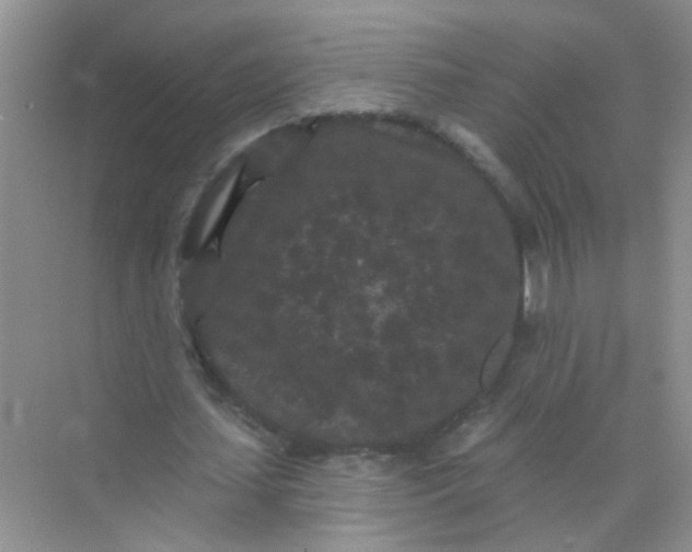 X0000070240627200606161847