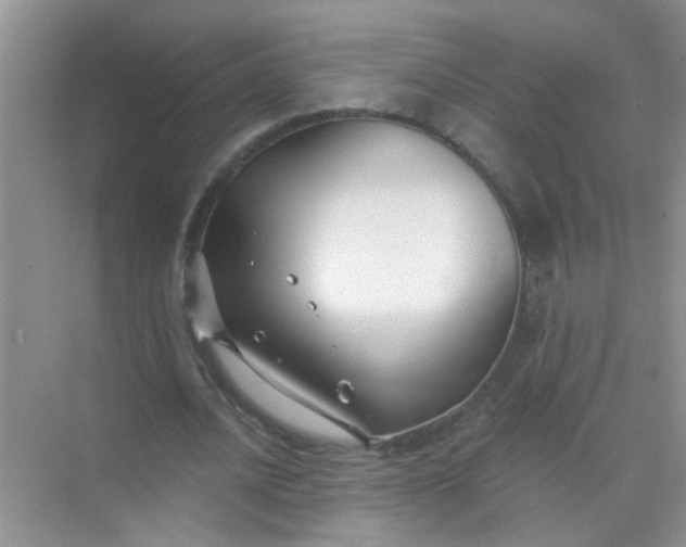 X0000070240628200606161847