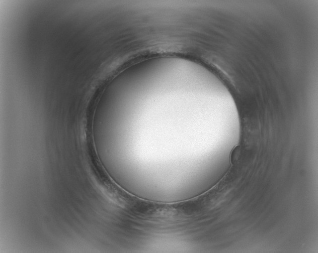 X0000070240631200606161847