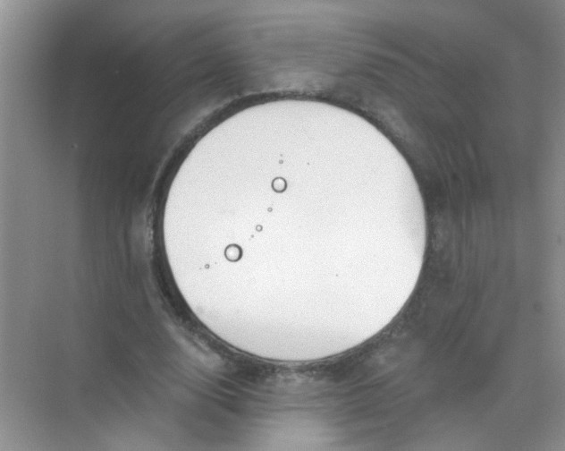 X0000070240632200606161847