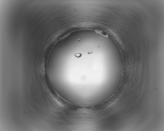 X0000070240633200606161847