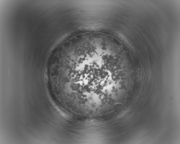 X0000070240634200606161847