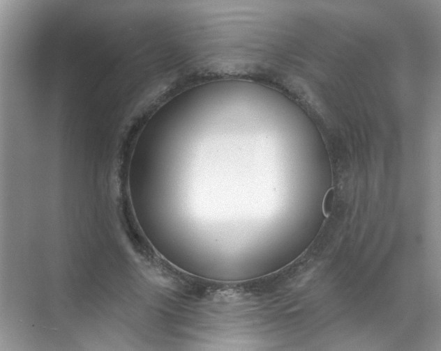 X0000070240635200606161847