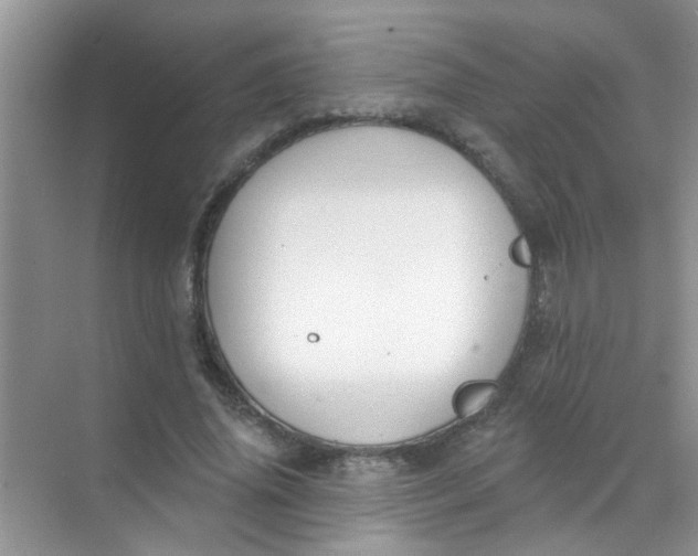 X0000070240636200606161847