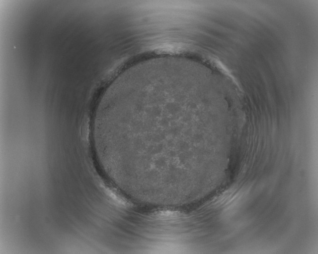 X0000070240637200606161847