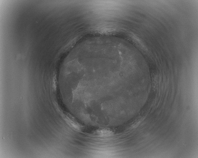 X0000070240644200606161847