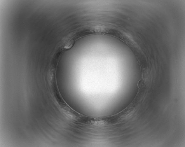 X0000070240645200606161847